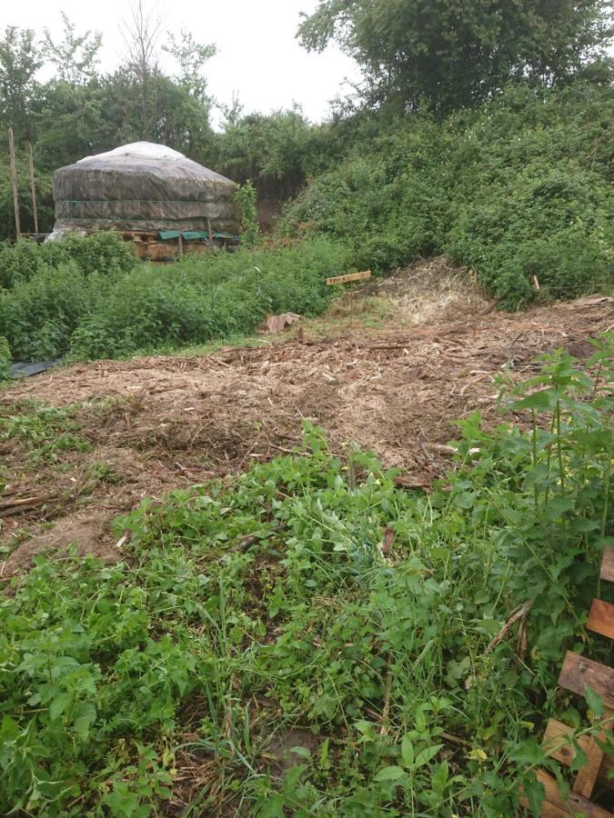 Yourte Rustique En Permaculture Creysse  Kültér fotó